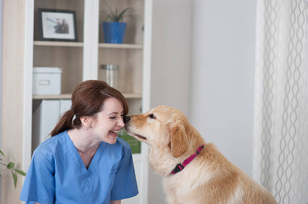 Veterinary Assistant Program in Halifax