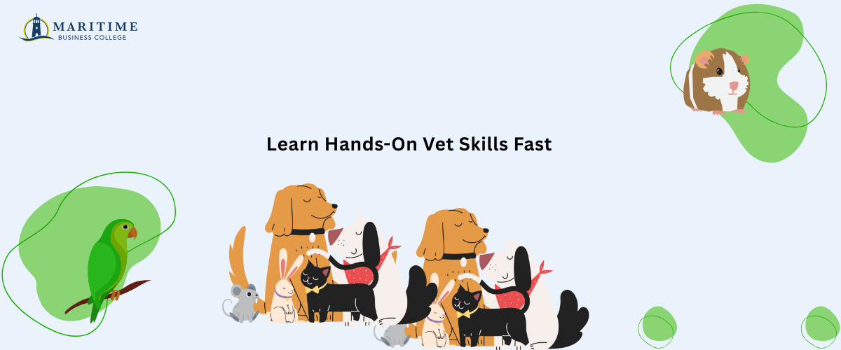 career in veterinary