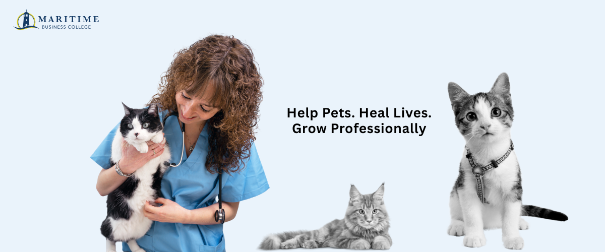 Veterinary Assistant Diploma