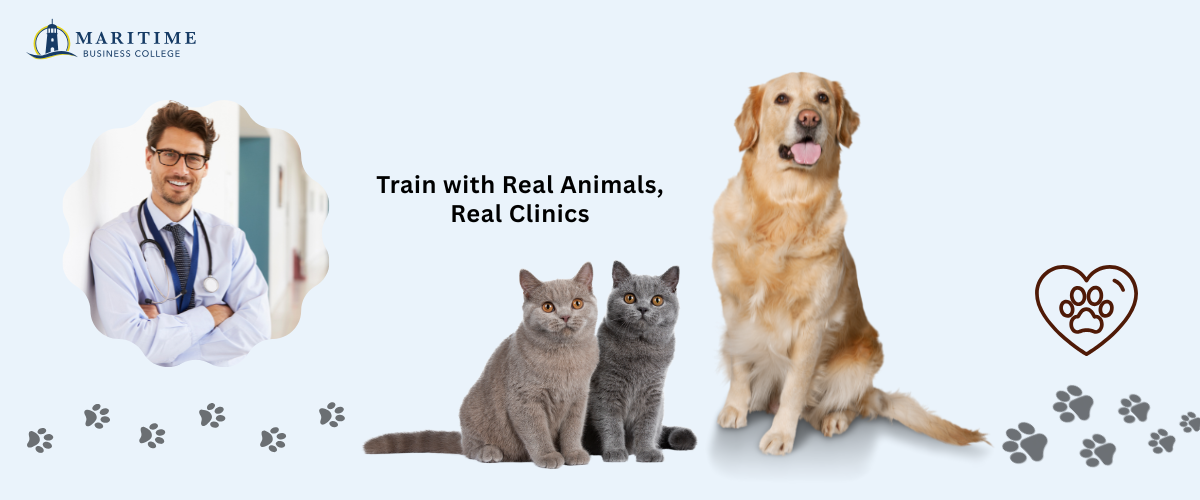 How to start a career in animal care